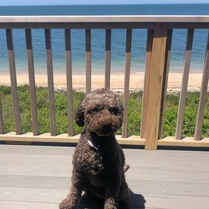 Meet your Posher, Rebecca